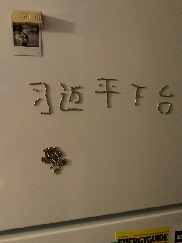 捡来一串吸铁石诶🧲 #冰箱革命👤 来自