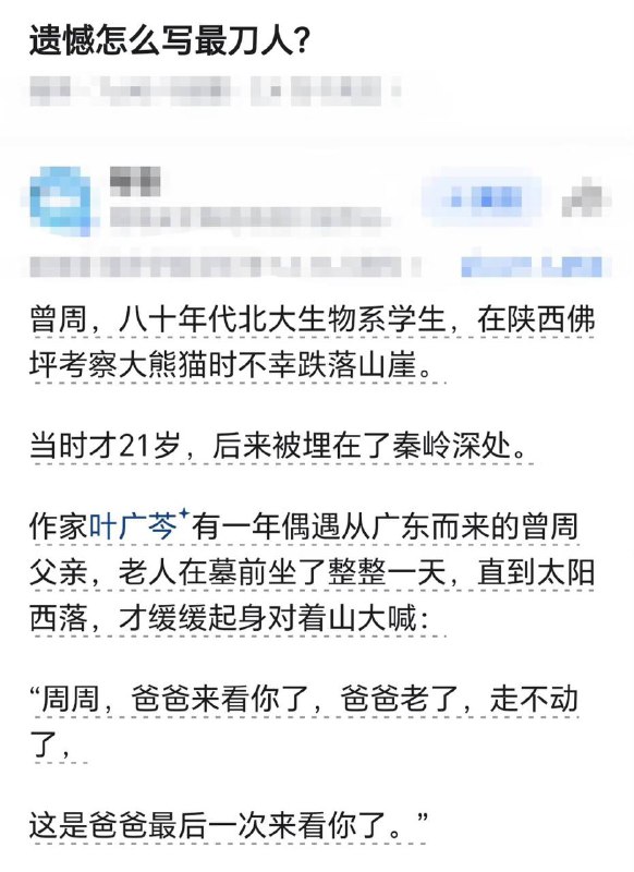 黑白哈基熊可比奴隶的