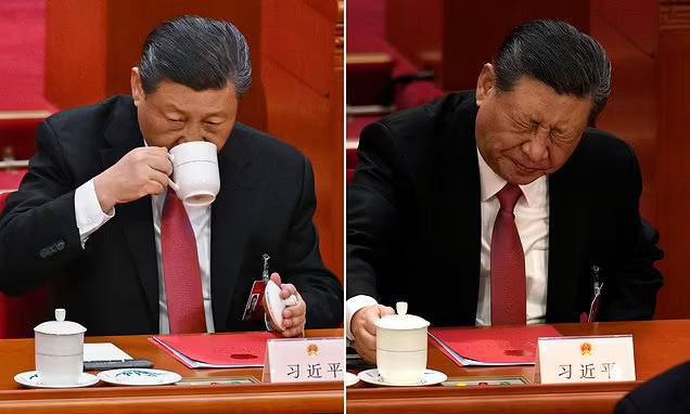 请大大注意龙体