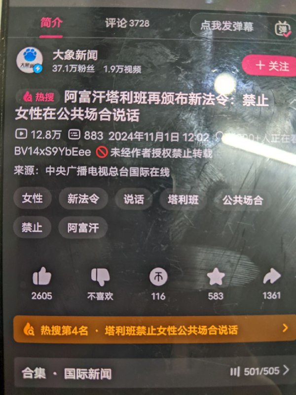 打起来！打起来！🥳