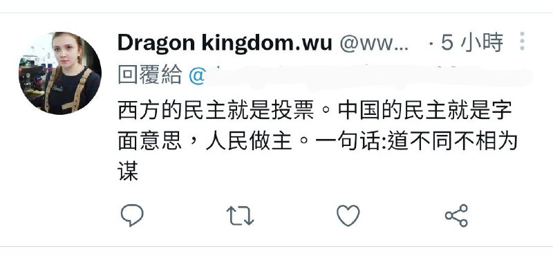道理我都懂，就是不知道不投票中国人民要怎么做主