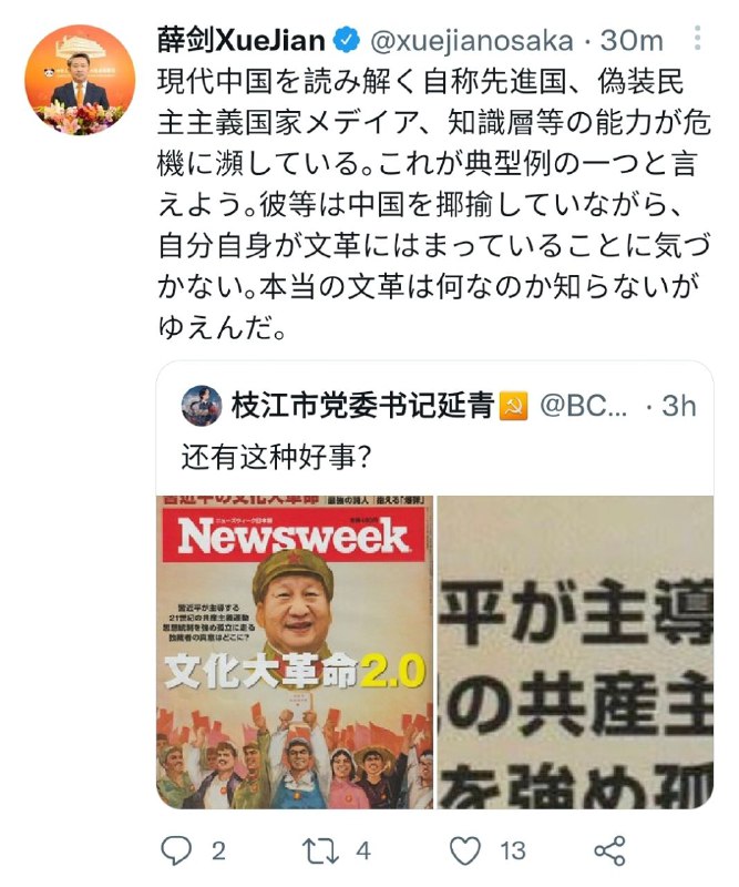 薛剑大使在说啥？