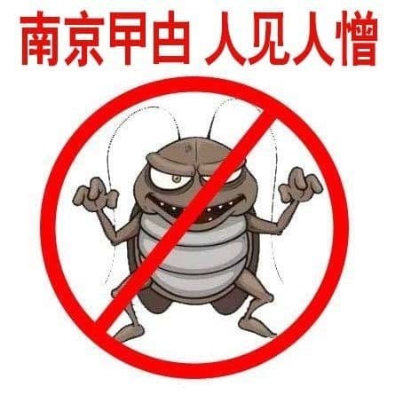 前两天在墙内给享受本升专铁拳的那一撮加油打气的也不少，只不过区区一个“调查结果