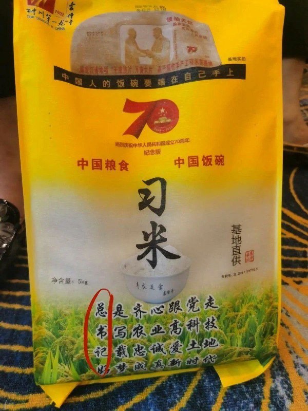 总插齐心大黑逼书写小