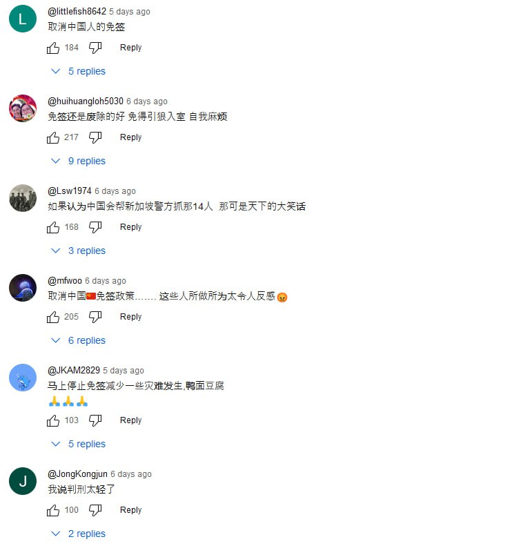 新加坡公共广播服务新传媒（Mediacorp）替为人民行动党（PAP）政府实行的中国人免签政策洗地，下方评论区的新加坡国民第一个不答应🤧