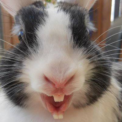 今天被伊朗炸的那个科