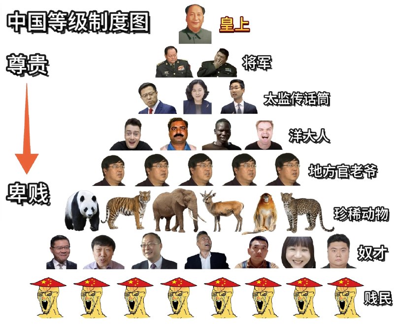 你在哪儿😎 匿名投稿