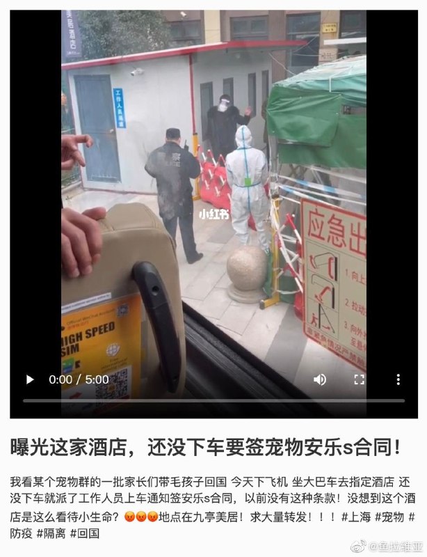 带宠物回国如果是阳性就必须安乐死带宠物回国如果是阳性就必须安乐死