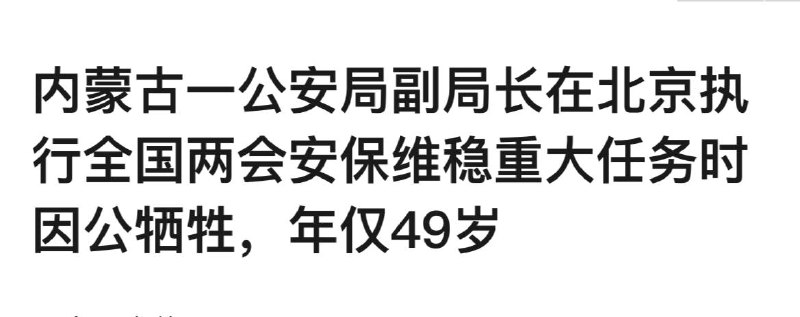 维稳警哥好死喵，两会