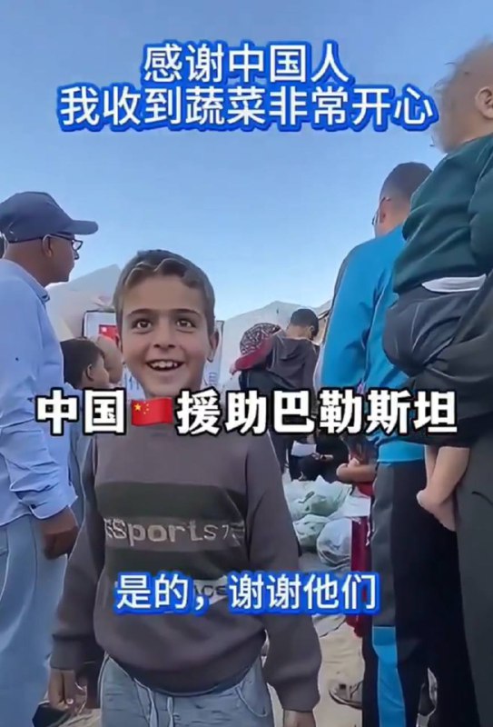 加沙人口增长速度在这