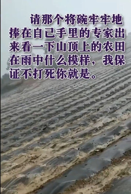 退林还耕，喜迎洪峰