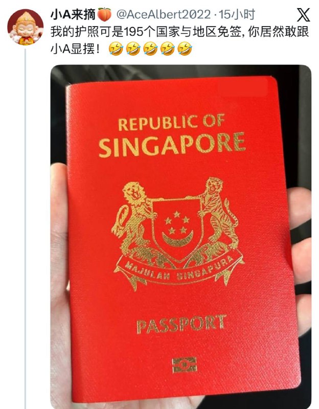 推特老外宣，自称在新加坡的小A，用reddit上盗的图（右图为原图）装自己的护照