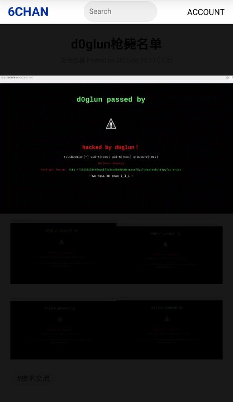 8月22号，多个被怀疑和中共海外交易有关的白手套网站被d0glun黑客组织公开宣布夺取拿下，其中大量交易数据正在分析