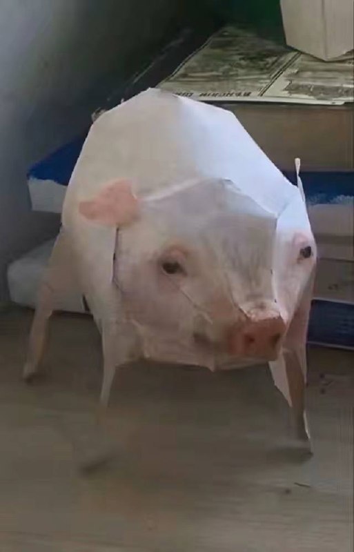 纸膜蓝图，有需要的自