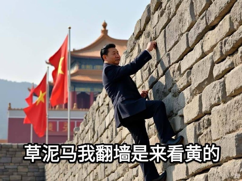 什么翻襄阳城的郭靖平By