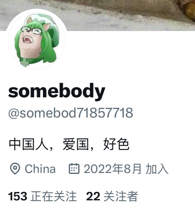 中国美国都不敢说出来，搁着满口东大西大的贱畜谈人权😋就算是网评员都太抽象