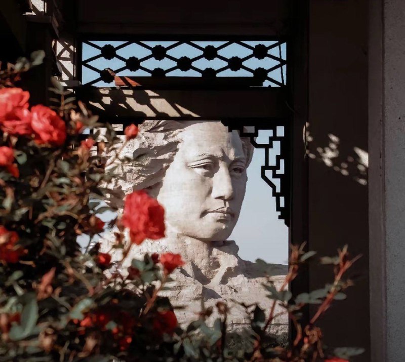 我在看你#CN普利策