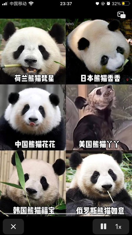 先看网图 再看现实By