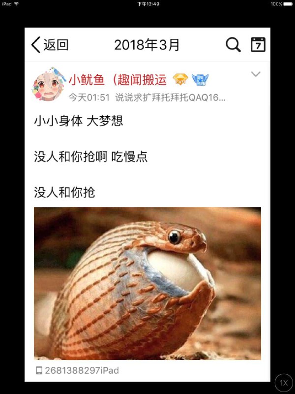 2018年包子刚修宪