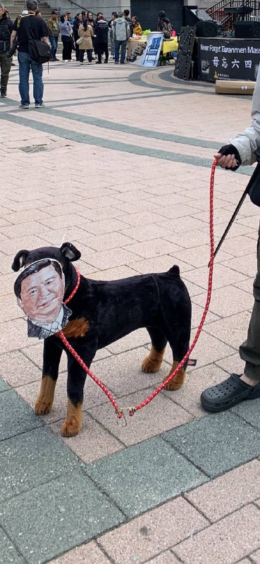 “绳索和棍棒是人类最早发明的工具