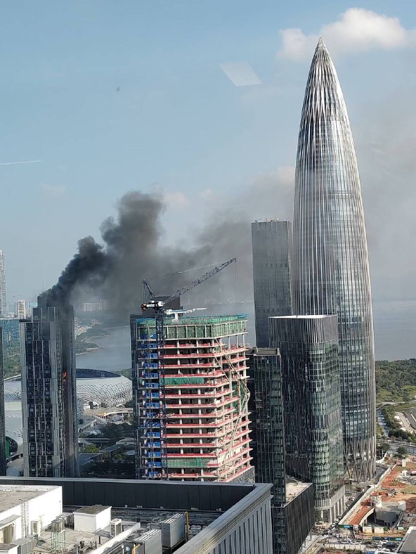 2024-12-11日下午，深圳灣悅府二期豪宅疑煤氣爆炸 女住客疑不勝高熱墮樓事故发生后,____高度重视.____立即作出____,要求组织____,妥善处理____,迅速查清____,严肃追究___；立即组织开展____,进一步做好____,防止____.