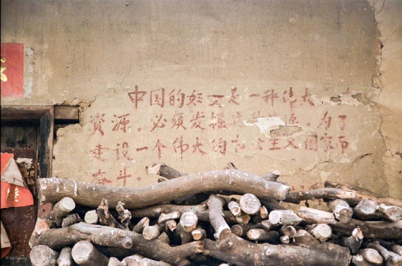 共產黨早就教導過你們，中國的婦女是一種資源，必須發掘這種資源這不就是挖礦嗎？投稿By