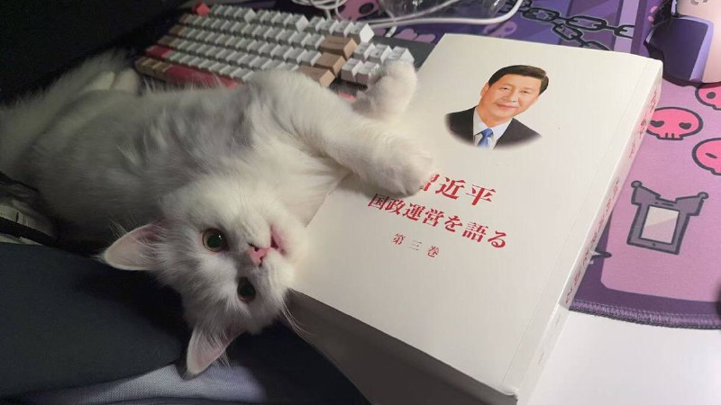 🕶️ 匿名投稿