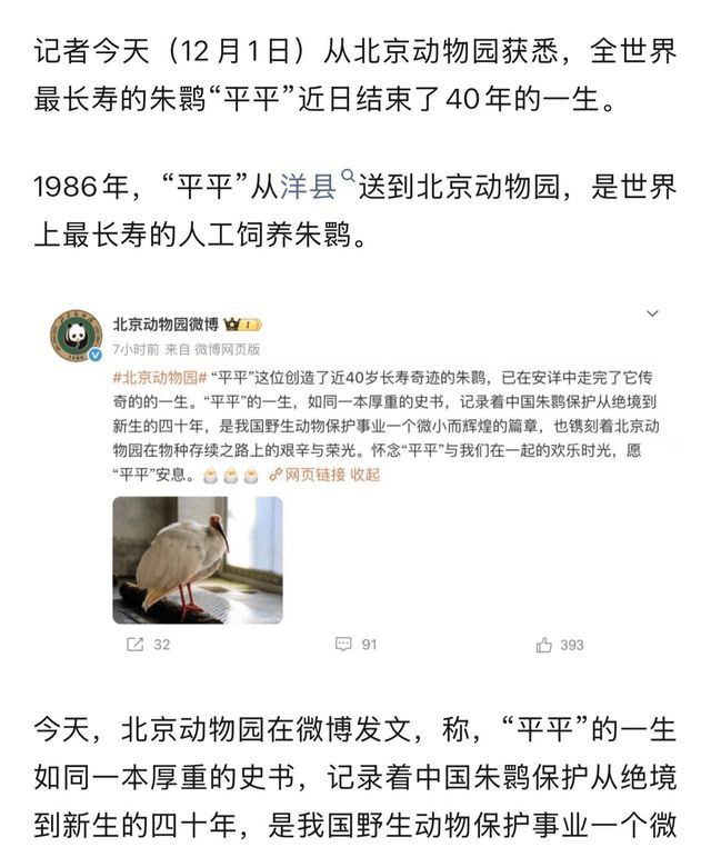 学习墙国🐸 “平平