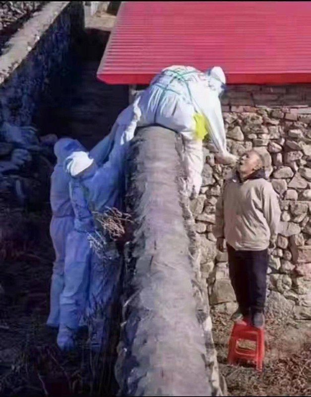 墙国普利策合集4，特别感谢匿名网友投稿