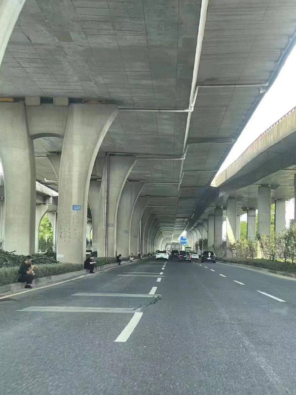 苏州昨天戒严吗？立交桥下每个桥墩坐着一个黑衣人立交桥上所有车辆被两百米外的一辆警车堵住下午有那么1小时 有部分路段人行道也被封锁，不让步行市民，电动车自行车通行投稿by