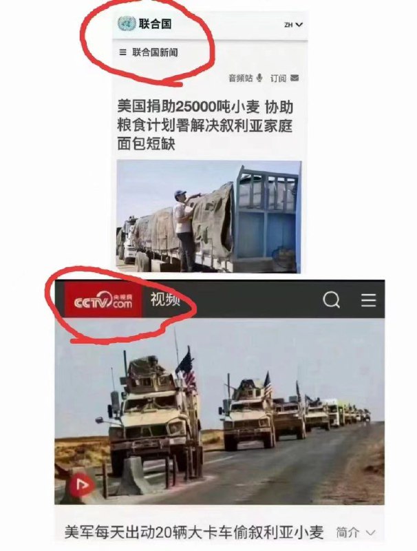 哪个的报道是真的呢？