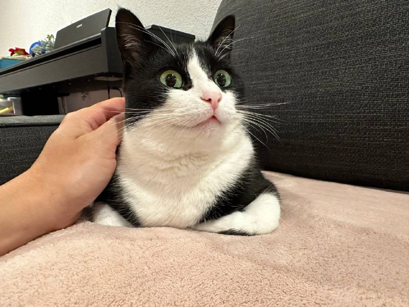 政治合格军事过硬纪律严明，作风优良！能打胜仗！By