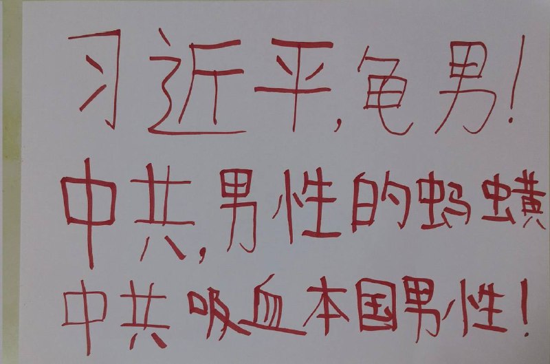 这是哪儿的男厕？咱们习主席真的太伟大了！是不是啊 #精甚细腻#厕所革命这是哪儿的男厕？咱们习主席真的太伟大了！是不是啊 #精甚细腻#厕所革命