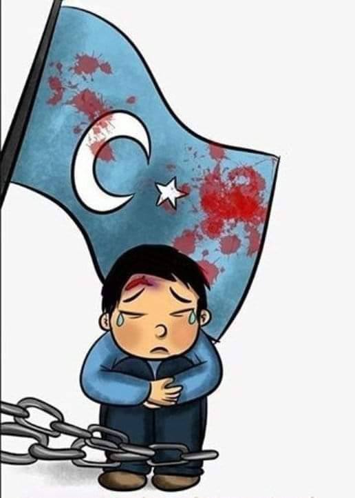 近日，为庆祝支土建交50周年，支那驻土耳其大使馆与土耳其教育部联合举办了“Hayalimdeki Cin（我想象的中国）”高中生绘画大赛，得到了土耳其高中生们的积极响应