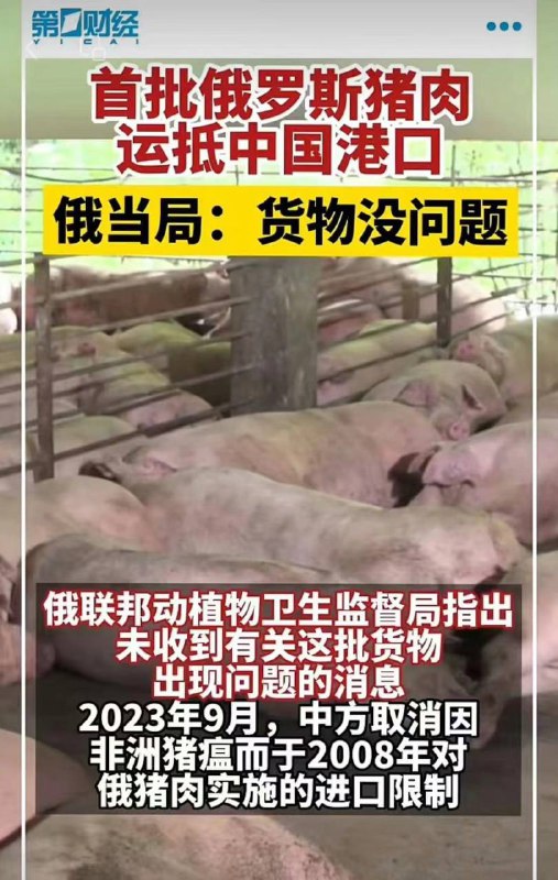 大陆人矿积极表示我们为了国家  食💩都可以By