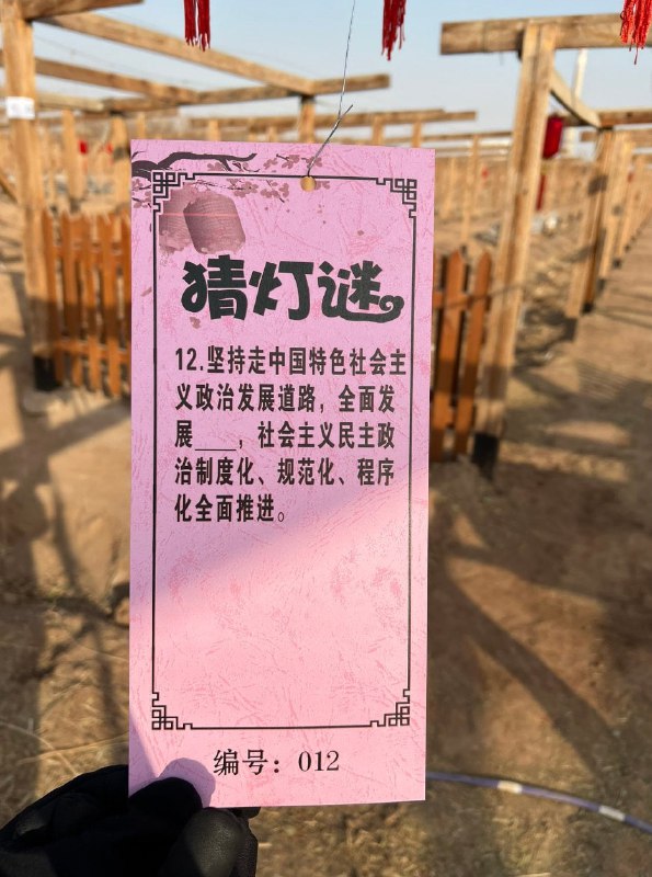 来自新疆吐鲁番的灯谜By