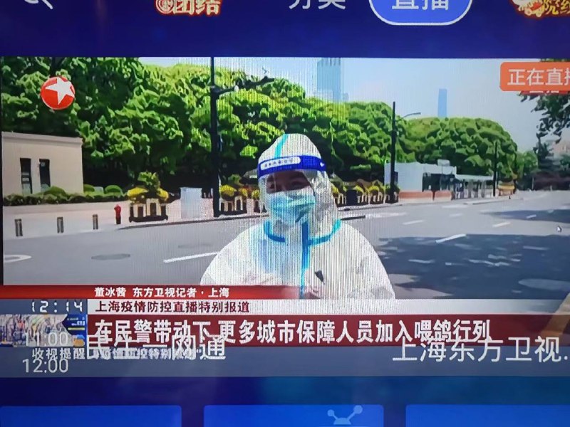 上海的鸽子们吃饱了#听我说谢谢你