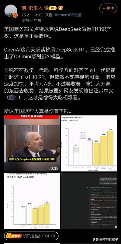反咬一口的抄袭犯，中