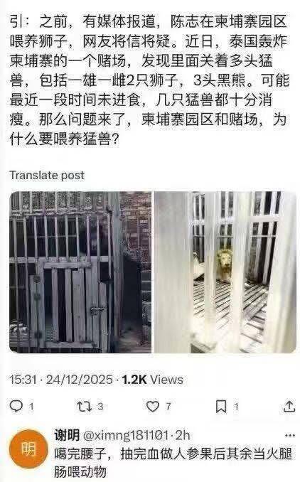 问问