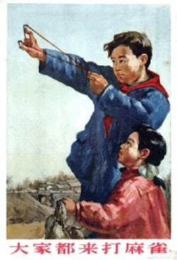 #辱华反华分子介绍378 西村博之日本互联网企业家，匿名BBS“2ch”的创立者