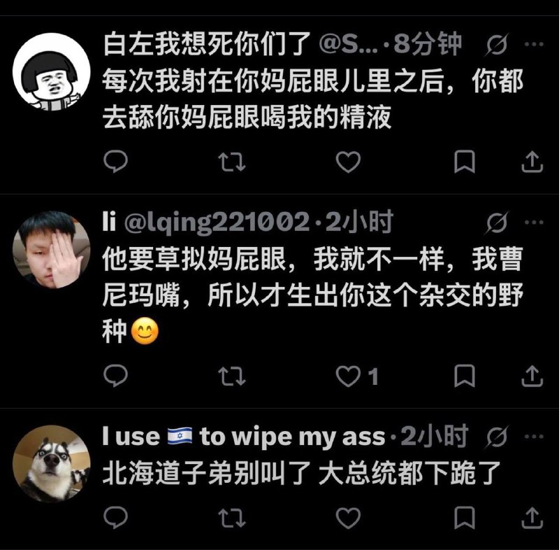 发现凡属“爱共阵营”的账号，一遇到反共言论，基本只会甩出几句平庸的脏话，只攻不守、从不讲理