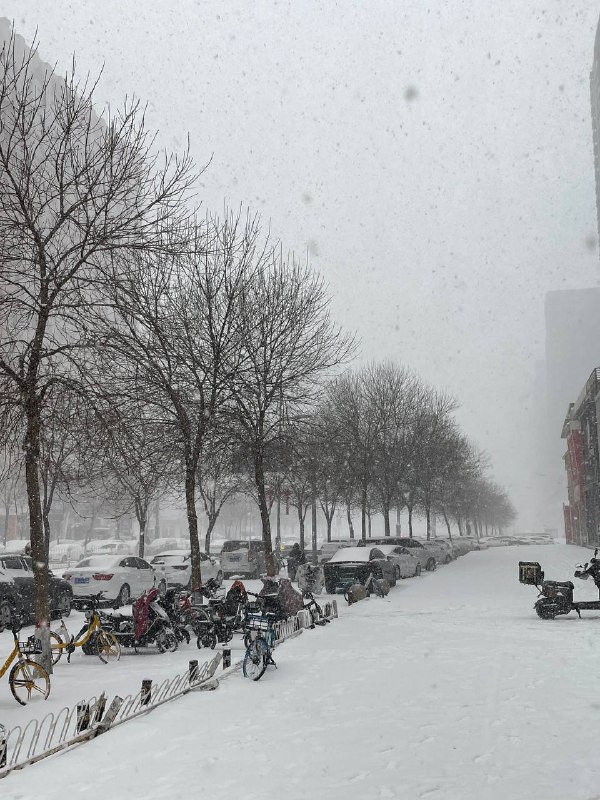 坚决贯彻执行中央通知精神，唱响没下雪天气光明论（北京、河北、山东、江苏）彭丽媛老家山东打雷下大雪，瑞雪吉兆，三中全会彭将军必进政治局常委！日本产经新闻恶意造谣我国天气问题！坚决贯彻执行中央通知精神，唱响没下雪天气光明论（北京、河北、山东、江苏）彭丽媛老家山东打雷下大雪，瑞雪吉兆，三中全会彭将军必进政治局常委！日本产经新闻恶意造谣我国天气问题！