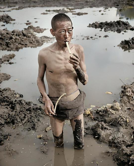 【老照片里的中国】乔治·西尔克镜头下的湖南大饥荒1946（AI上色）#中国为什么这么幸福【老照片里的中国】乔治·西尔克镜头下的湖南大饥荒1946（AI上色）#中国为什么这么幸福