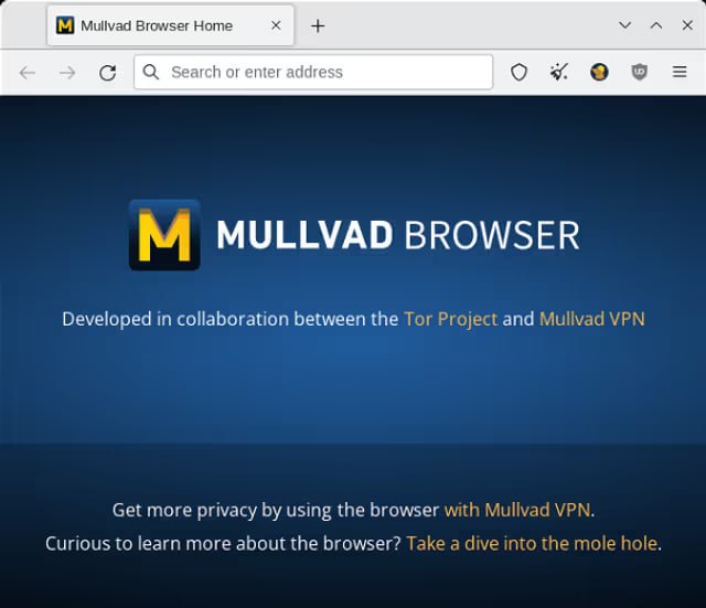 Mullvad VPN和Tor Project于今日联手推出Mullvad浏览器，一款搭配VPN使用且注重隐私保护的浏览器