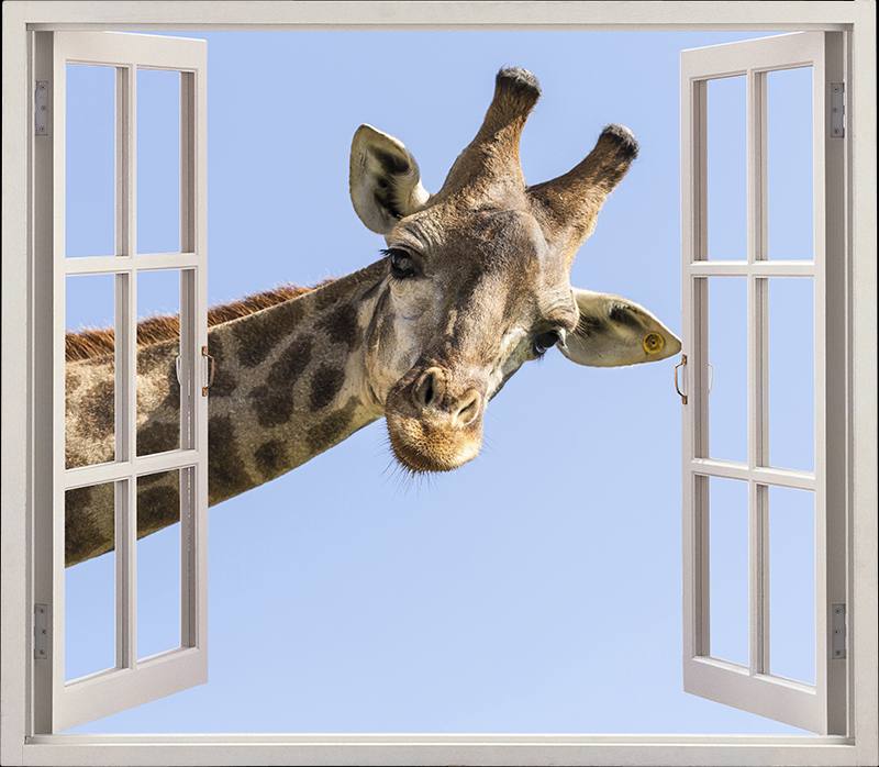 提供一些长颈鹿头像，便于识别战友By