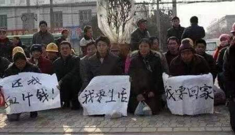 虚假的李子柒，真实的农民工#恶意合订虚假的李子柒，真实的农民工#恶意合订