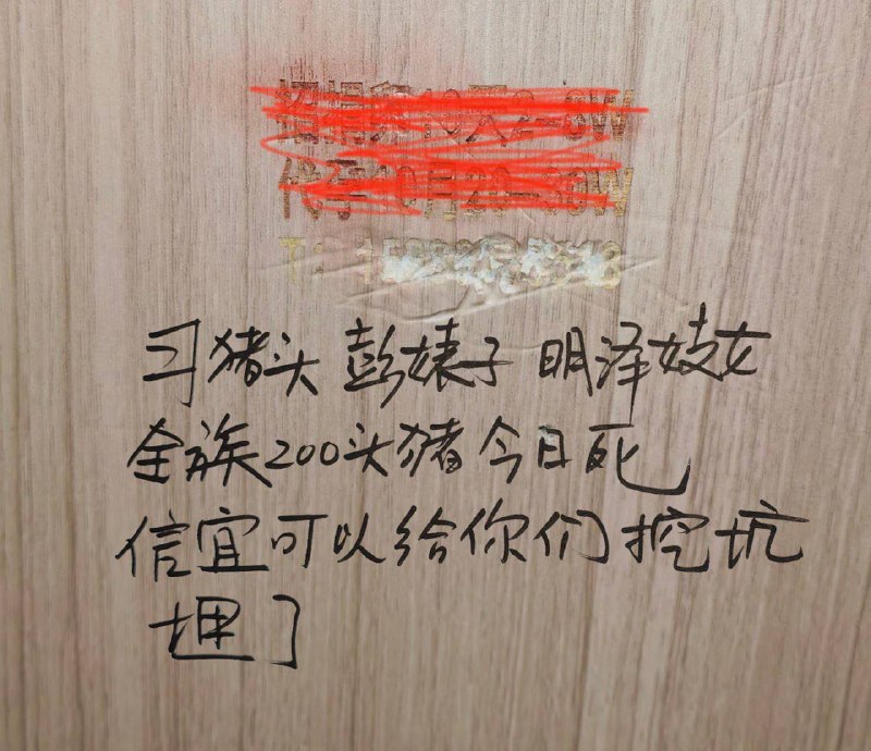 #厕所革命