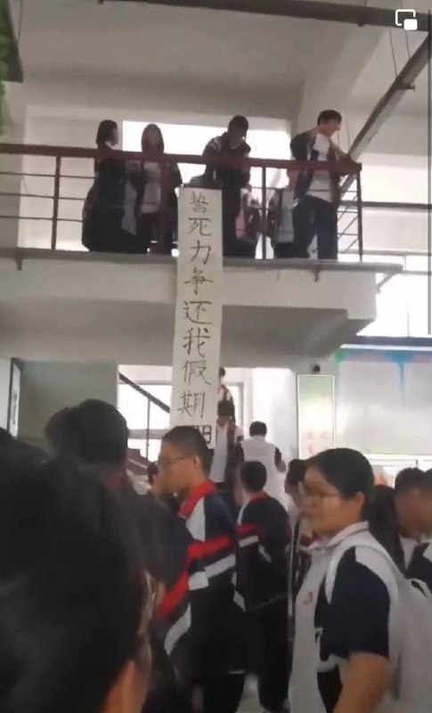平子我好讨厌你啊，为什么要把小编的假期取消了😭