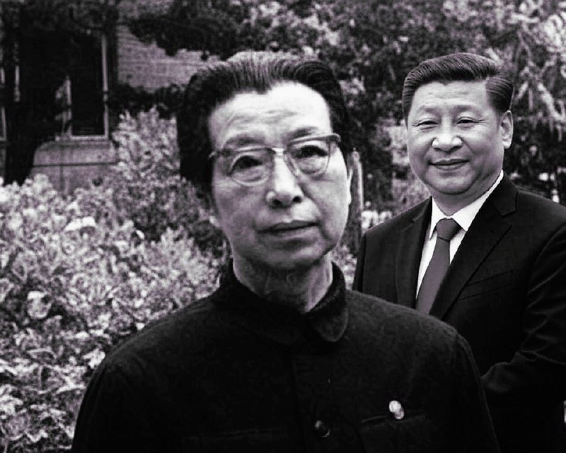 习主席穿越时空，攻略了女皇江青，两人在中南海花园里的的合影🕶️ 匿名投稿#疯狂宇宙