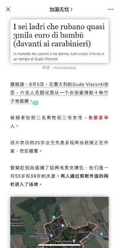 中国大妈，在意大利的花园里面挖呀挖呀挖挖外国的竹笋坐意大利警车🚓中国大妈，在意大利的花园里面挖呀挖呀挖挖外国的竹笋坐意大利警车🚓